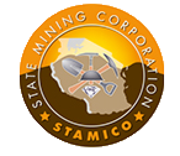 Home logo
